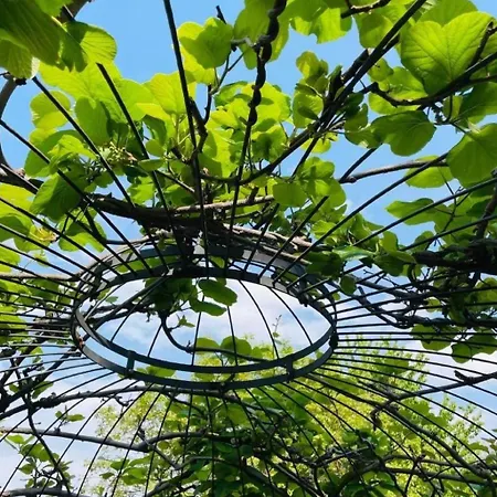 Appartement Casa Ritz By Interhome *