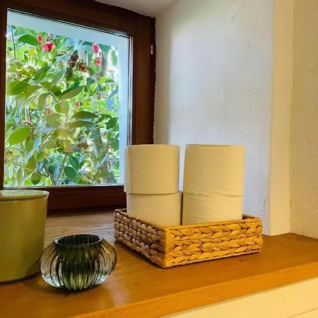 Appartement Casa Ritz By Interhome Gambarogno